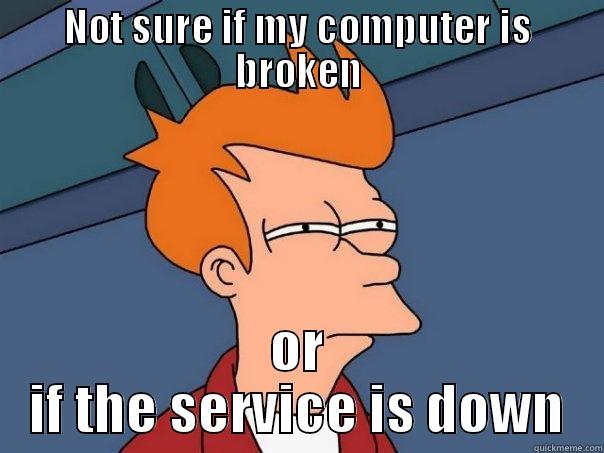 NOT SURE IF MY COMPUTER IS BROKEN OR IF THE SERVICE IS DOWN Futurama Fry