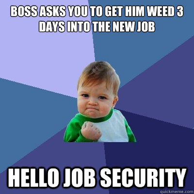 Boss asks you to get him weed 3 days into the new job hello job security   Success Kid