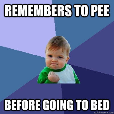 remembers to pee before going to bed   Success Kid