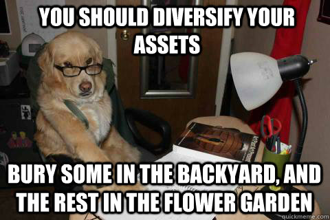 You should diversify your assets Bury some in the backyard, and the rest in the flower garden  Financial Advice Dog