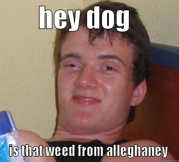 high stoner - HEY DOG  IS THAT WEED FROM ALLEGHANEY 10 Guy