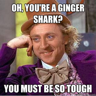 Oh, you're a ginger shark? You must be so tough  Condescending Wonka