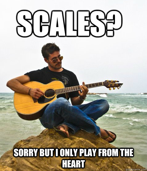 Scales? Sorry but I only play from the heart  Douchebag Guitarist