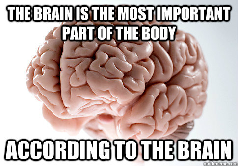 THE BRAIN IS THE MOST IMPORTANT PART OF THE BODY ACCORDING TO THE BRAIN   Scumbag Brain