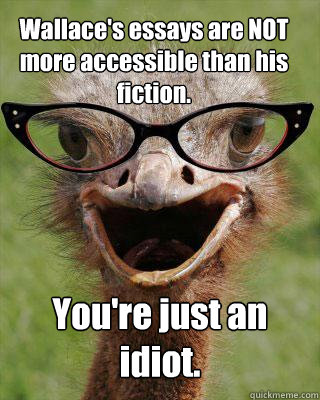 Wallace's essays are NOT more accessible than his fiction. You're just an idiot.  Judgmental Bookseller Ostrich