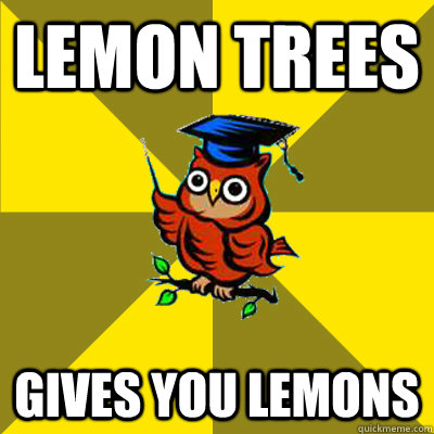 Lemon trees gives you lemons  Observational Owl