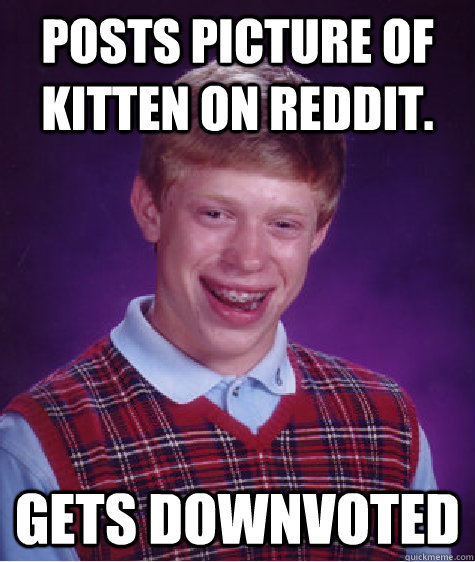 Posts picture of kitten on Reddit. Gets Downvoted - Posts picture of kitten on Reddit. Gets Downvoted  Bad Luck Brian