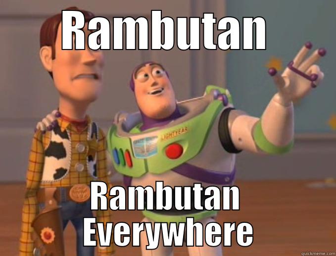 F rambutan - RAMBUTAN RAMBUTAN  EVERYWHERE Misc