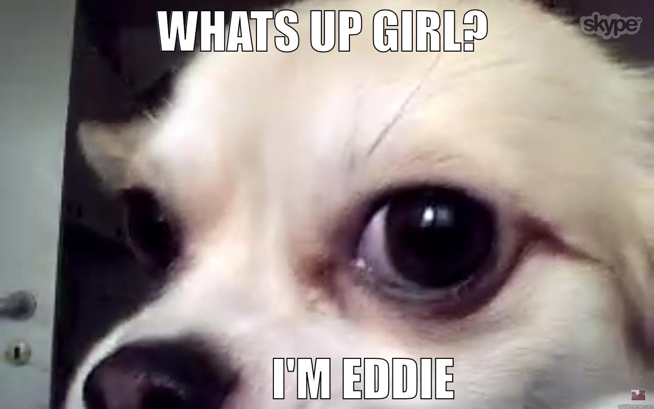 WHATS UP GIRL?          I'M EDDIE Misc