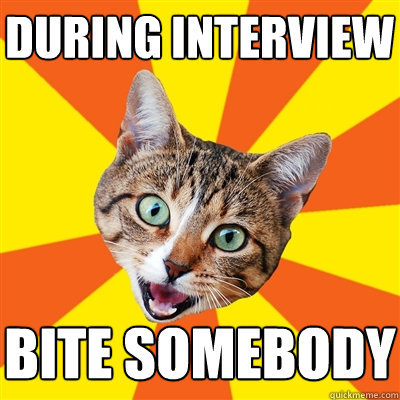 During interview bite somebody  Bad Advice Cat