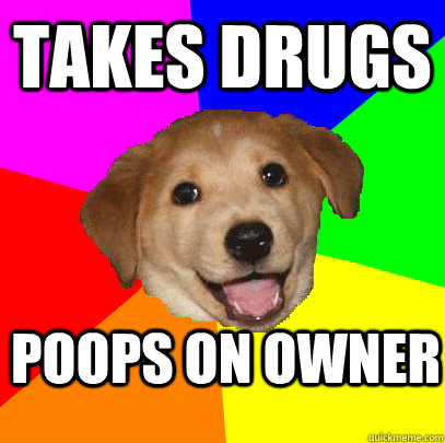 takes drugs poops on owner  Advice Dog