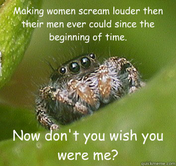 Making women scream louder then their men ever could since the beginning of time. Now don't you wish you were me?  Misunderstood Spider