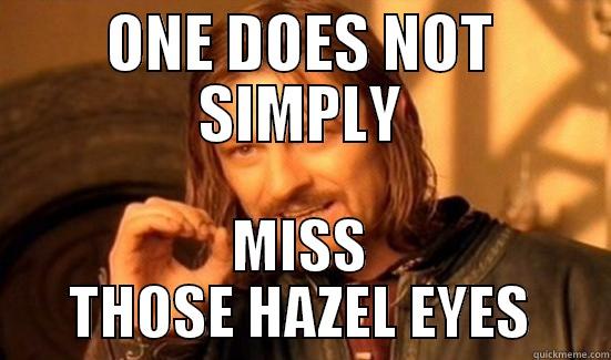 SECRET GARDEN - ONE DOES NOT SIMPLY MISS THOSE HAZEL EYES Boromir