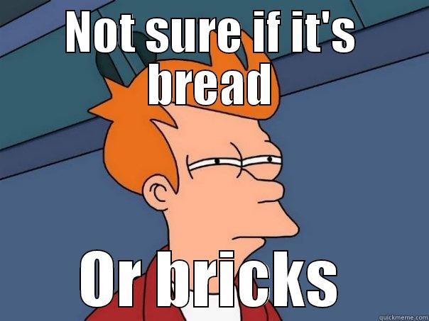 NOT SURE IF IT'S BREAD OR BRICKS Futurama Fry