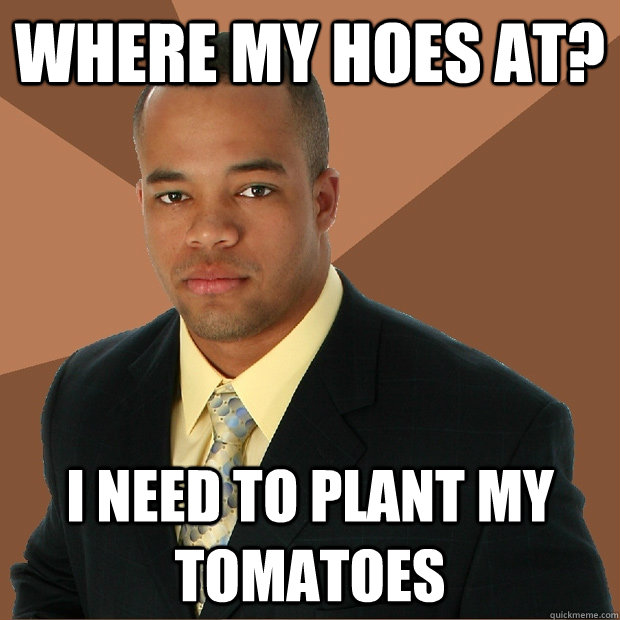 Where my hoes at? i need to plant my tomatoes  Successful Black Man