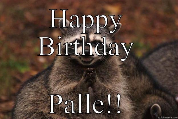 HAPPY BIRTHDAY PALLE!! Evil Plotting Raccoon