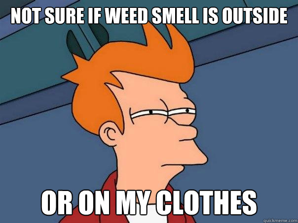 Not Sure if weed smell is outside or on my clothes - Not Sure if weed smell is outside or on my clothes  Futurama Fry