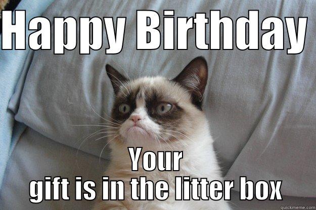 Grumpy cat bday - HAPPY BIRTHDAY  YOUR GIFT IS IN THE LITTER BOX Grumpy Cat