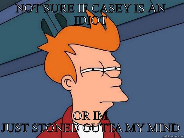 NOT SURE IF CASEY IS AN IDIOT OR IM JUST STONED OUTTA MY MIND Futurama Fry