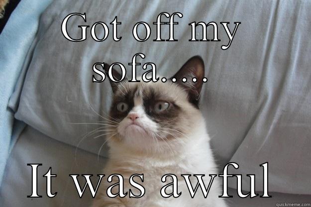 Soooo tired  - GOT OFF MY SOFA..... IT WAS AWFUL Grumpy Cat