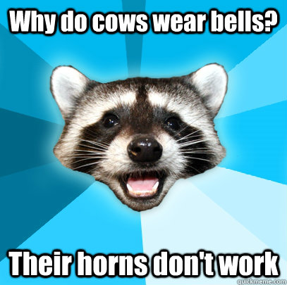 Why do cows wear bells? Their horns don't work - Why do cows wear bells? Their horns don't work  Lame Pun Coon