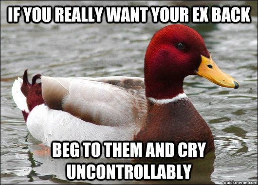 If you really want your ex back beg to them and cry uncontrollably  - If you really want your ex back beg to them and cry uncontrollably   Malicious Advice Mallard