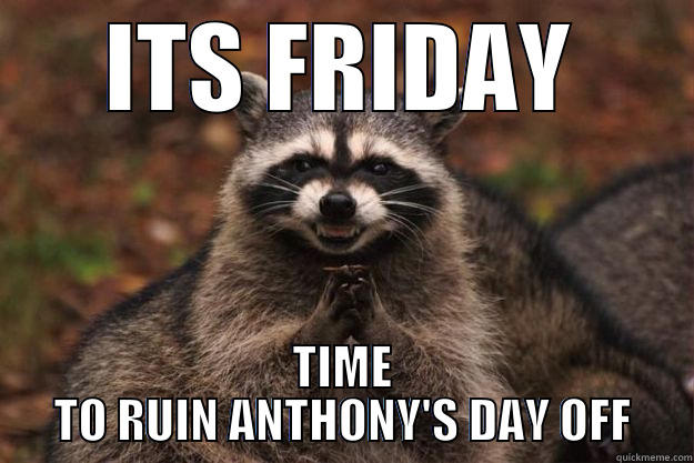 ITS FRIDAY TIME TO RUIN ANTHONY'S DAY OFF Evil Plotting Raccoon