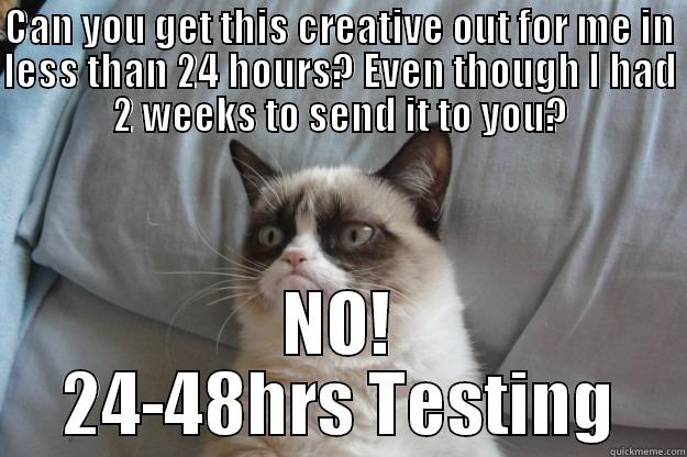 CAN YOU GET THIS CREATIVE OUT FOR ME IN LESS THAN 24 HOURS? EVEN THOUGH I HAD 2 WEEKS TO SEND IT TO YOU? NO! 24-48HRS TESTING Grumpy Cat