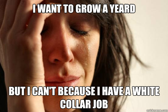 i want to grow a yeard but i can't because i have a white collar job  First World Problems