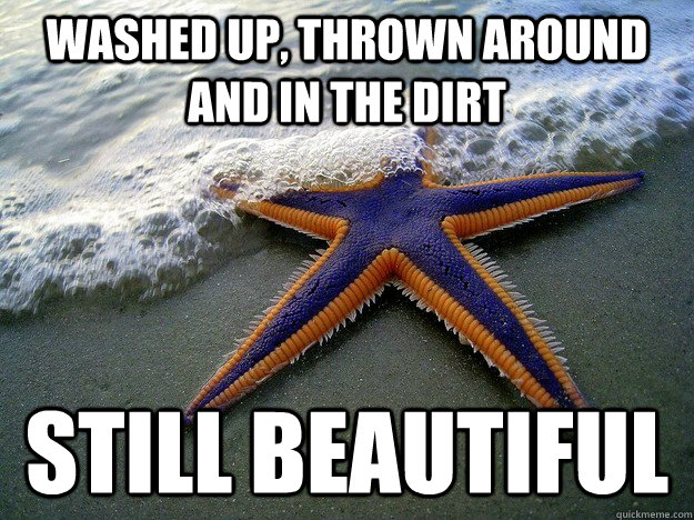 Washed up, thrown around and in the dirt still beautiful  - Washed up, thrown around and in the dirt still beautiful   Photogenic Starfish