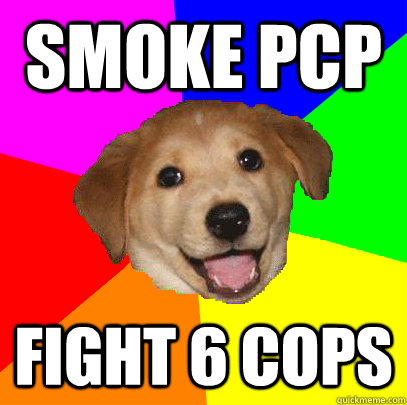 smoke pcp fight 6 cops  Advice Dog