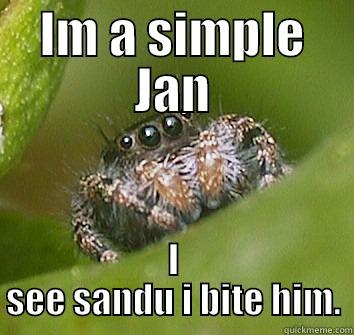 IM A SIMPLE JAN I SEE SANDU I BITE HIM. Misunderstood Spider