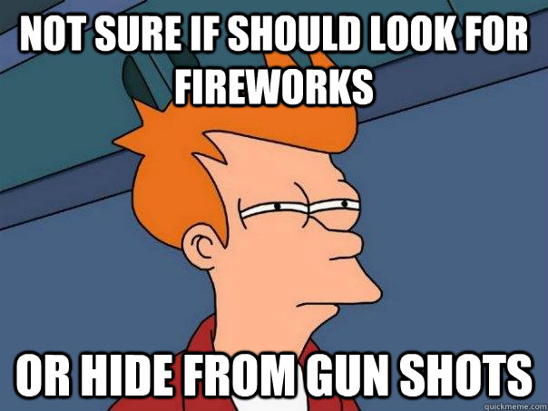 Not sure if should look for fireworks Or hide from gun shots  Futurama Fry