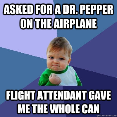 Asked for a dr. pepper on the airplane flight attendant gave me the whole can  Success Kid