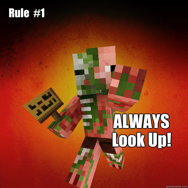 Rule  #1 ALWAYS Look Up! - Rule  #1 ALWAYS Look Up!  Zombie Pigman Zisteau