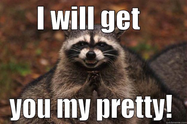 I WILL GET  YOU MY PRETTY! Evil Plotting Raccoon