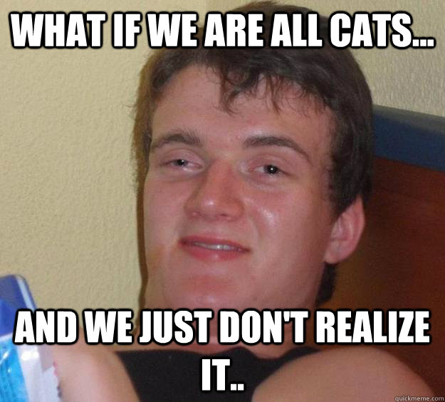 What if we are all cats... And we just don't realize it.. - What if we are all cats... And we just don't realize it..  10 Guy