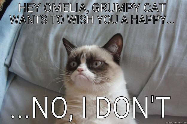 HEY OMELIA, GRUMPY CAT WANTS TO WISH YOU A HAPPY... ...NO, I DON'T Grumpy Cat