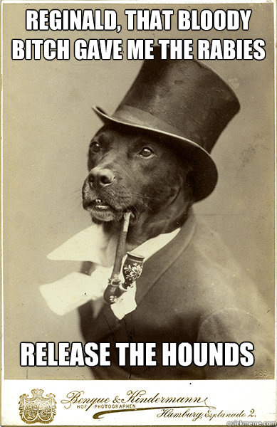 Reginald, that bloody bitch gave me the rabies release the hounds - Reginald, that bloody bitch gave me the rabies release the hounds  Old Money Dog