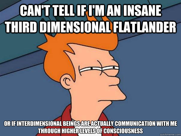 Can't tell if I'm an insane third dimensional flatlander or if interdimensional beings are actually communication with me through higher levels of consciousness  Futurama Fry