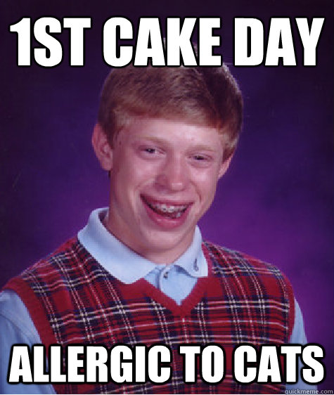 1st cake day Allergic to cats  Bad Luck Brian