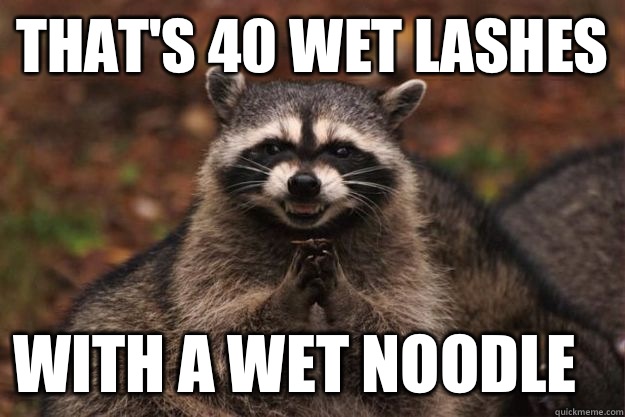 That's 40 wet lashes  With a wet noodle - That's 40 wet lashes  With a wet noodle  Evil Plotting Raccoon