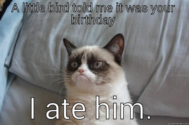 A LITTLE BIRD TOLD ME IT WAS YOUR BIRTHDAY I ATE HIM. Grumpy Cat