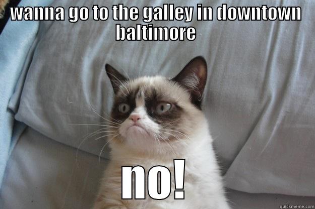 WANNA GO TO THE GALLEY IN DOWNTOWN BALTIMORE NO! Grumpy Cat