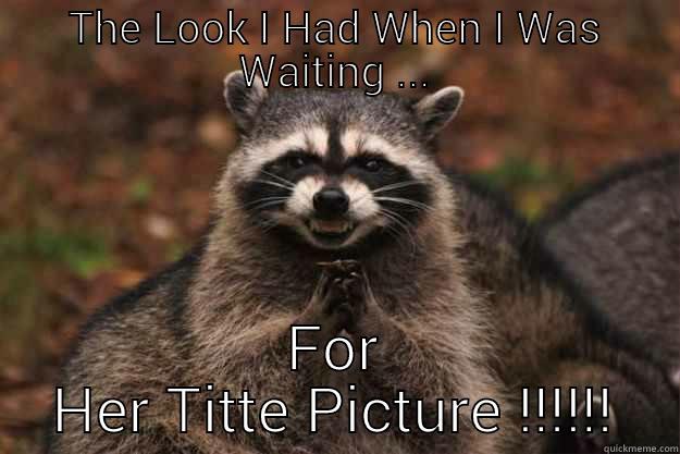 THE LOOK I HAD WHEN I WAS WAITING ... FOR HER TITTE PICTURE !!!!!! Evil Plotting Raccoon