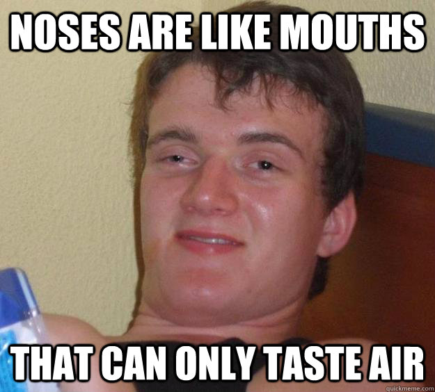 Noses are like mouths that can only taste air - Noses are like mouths that can only taste air  10 Guy