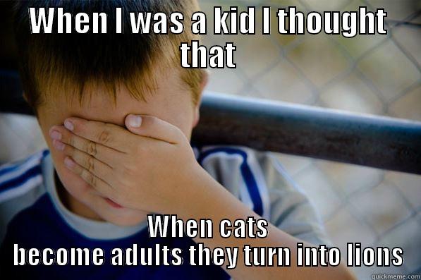 WHEN I WAS A KID I THOUGHT THAT WHEN CATS BECOME ADULTS THEY TURN INTO LIONS Confession kid