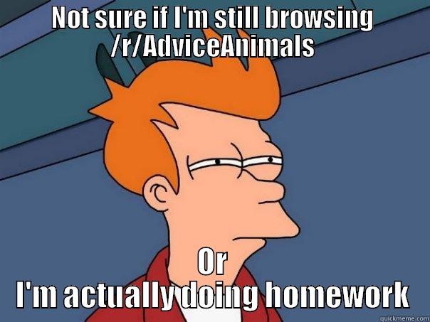 NOT SURE IF I'M STILL BROWSING /R/ADVICEANIMALS OR I'M ACTUALLY DOING HOMEWORK Futurama Fry