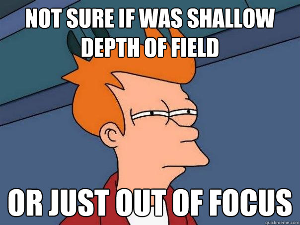 Not sure if was shallow Depth of field or just out of focus  Futurama Fry