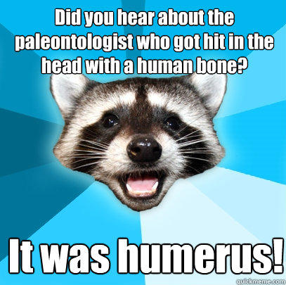 Did you hear about the paleontologist who got hit in the head with a human bone? It was humerus! - Did you hear about the paleontologist who got hit in the head with a human bone? It was humerus!  Lame Pun Coon